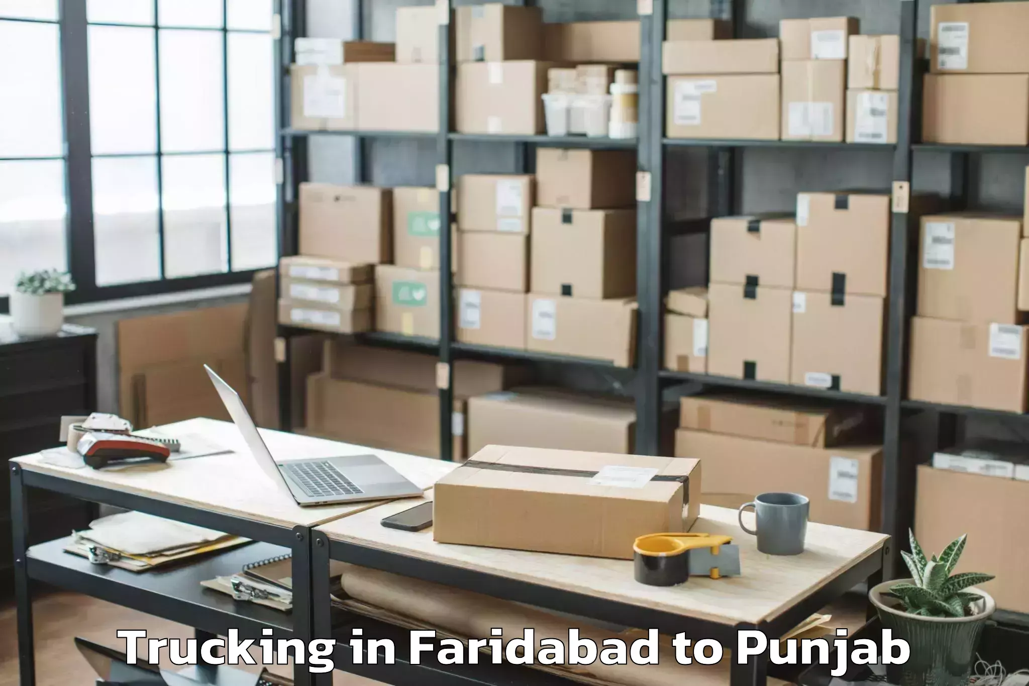 Trusted Faridabad to Lovely Professional University Trucking